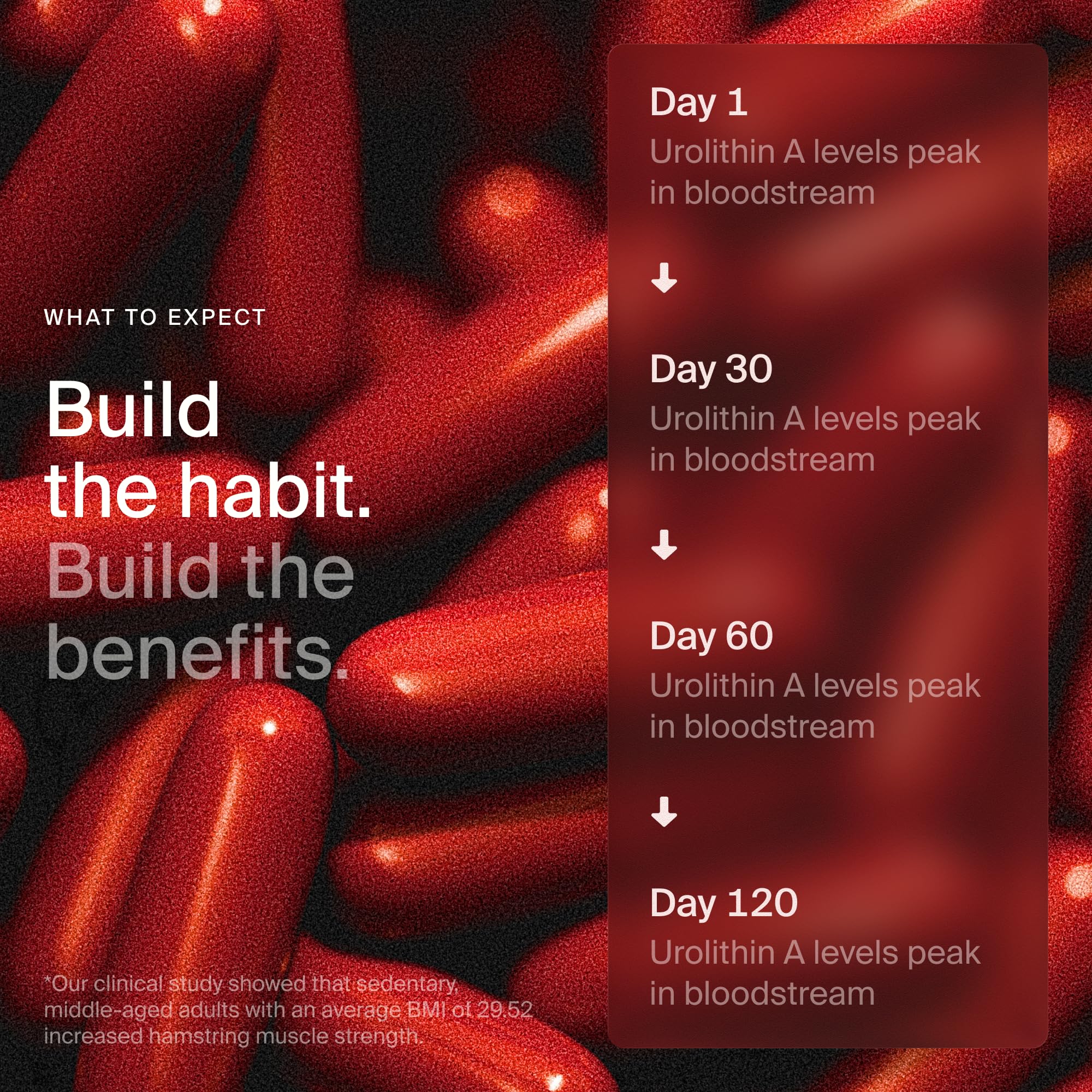 Timeline Mitopure Urolithin A Softgels | Cellular Health

