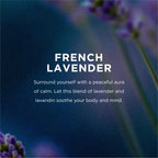 EO Hand Sanitizer Wipes | Cruelty-Free, Benzalkonium-Free


