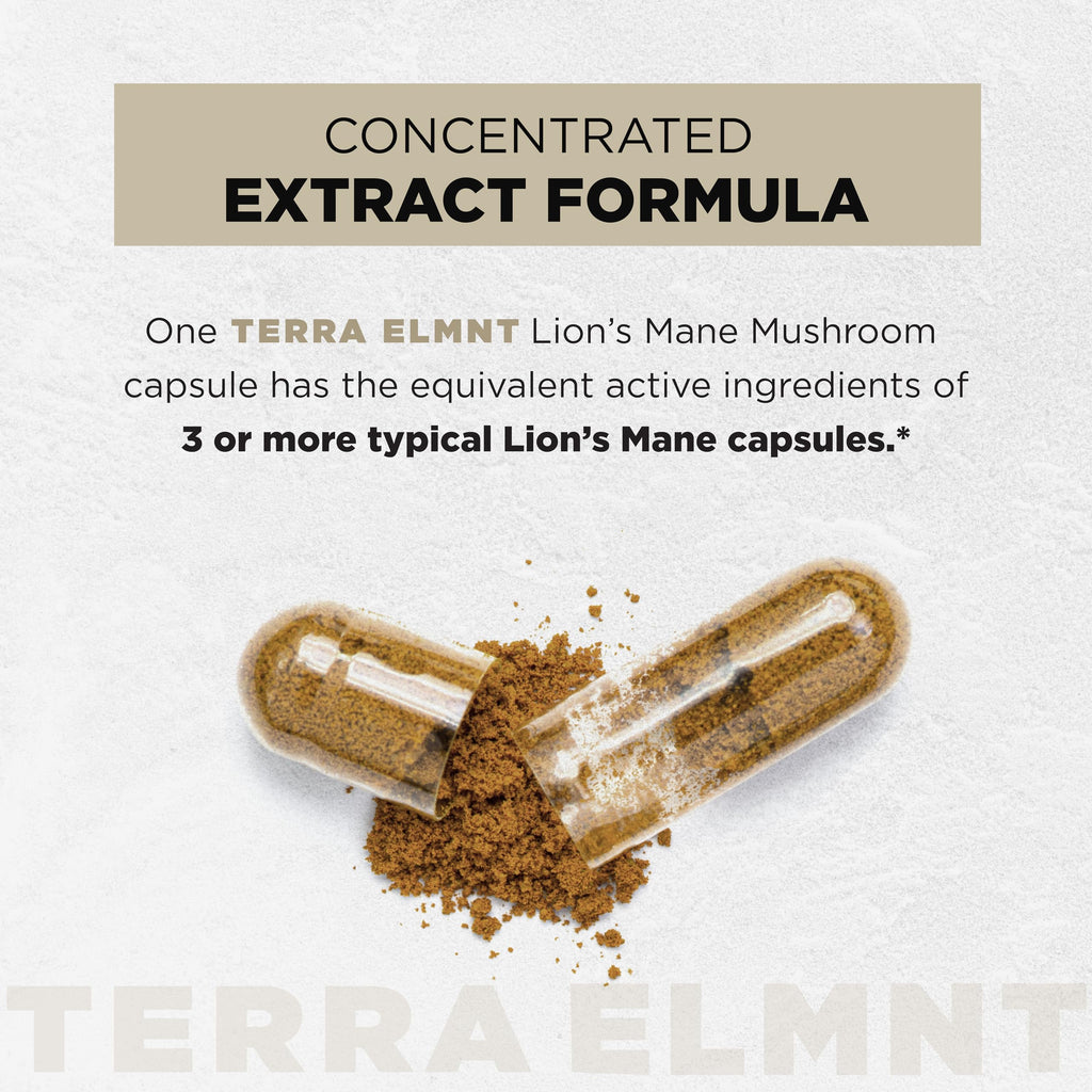 Terra ELMNT Lion's Mane Capsule for Brain Health

