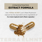 Terra ELMNT Lion's Mane Capsule for Brain Health

