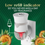Air Wick Plug-In Scented Oil Refill with Natural Essential Oils

