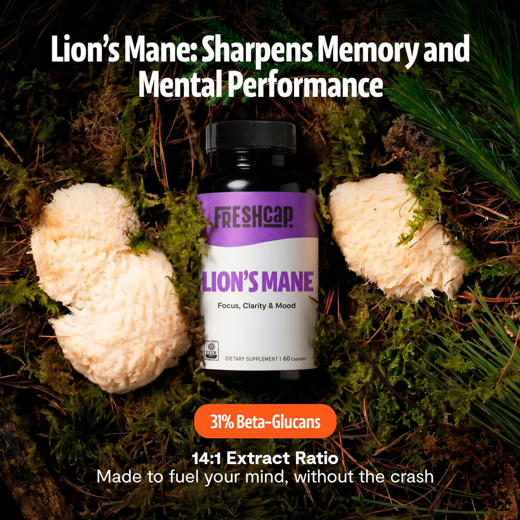 FreshCap Lion's Mane Capsules - 14:1 Organic Extract

