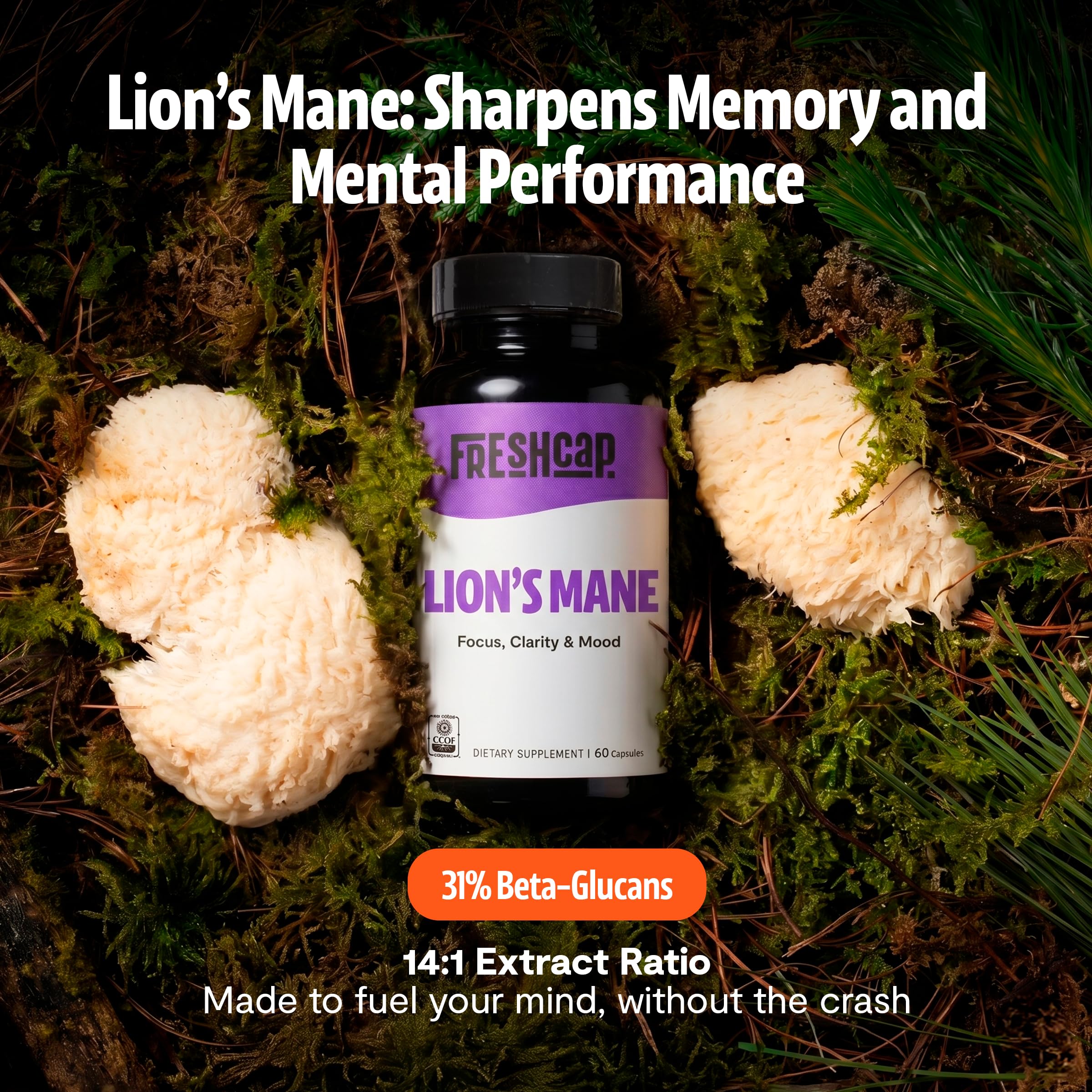 FreshCap Lion's Mane Capsules - 14:1 Organic Extract

