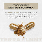 ELMNT Herbal Dietary Supplement Capsule

