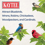 Kaytee Wild Bird Mealworms for Backyard Birds

