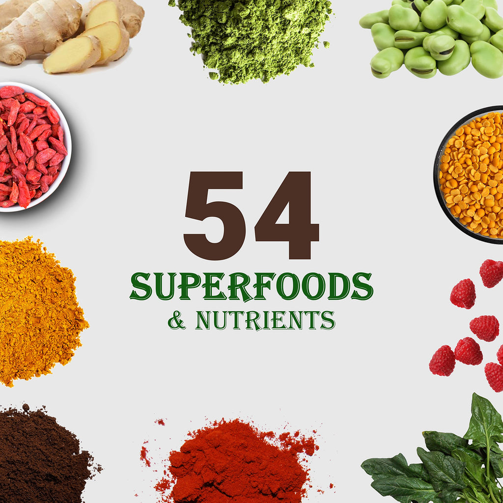 UpNourish Plant-Based Protein Powder with Probiotics

