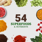 UpNourish Plant-Based Protein Powder with Probiotics

