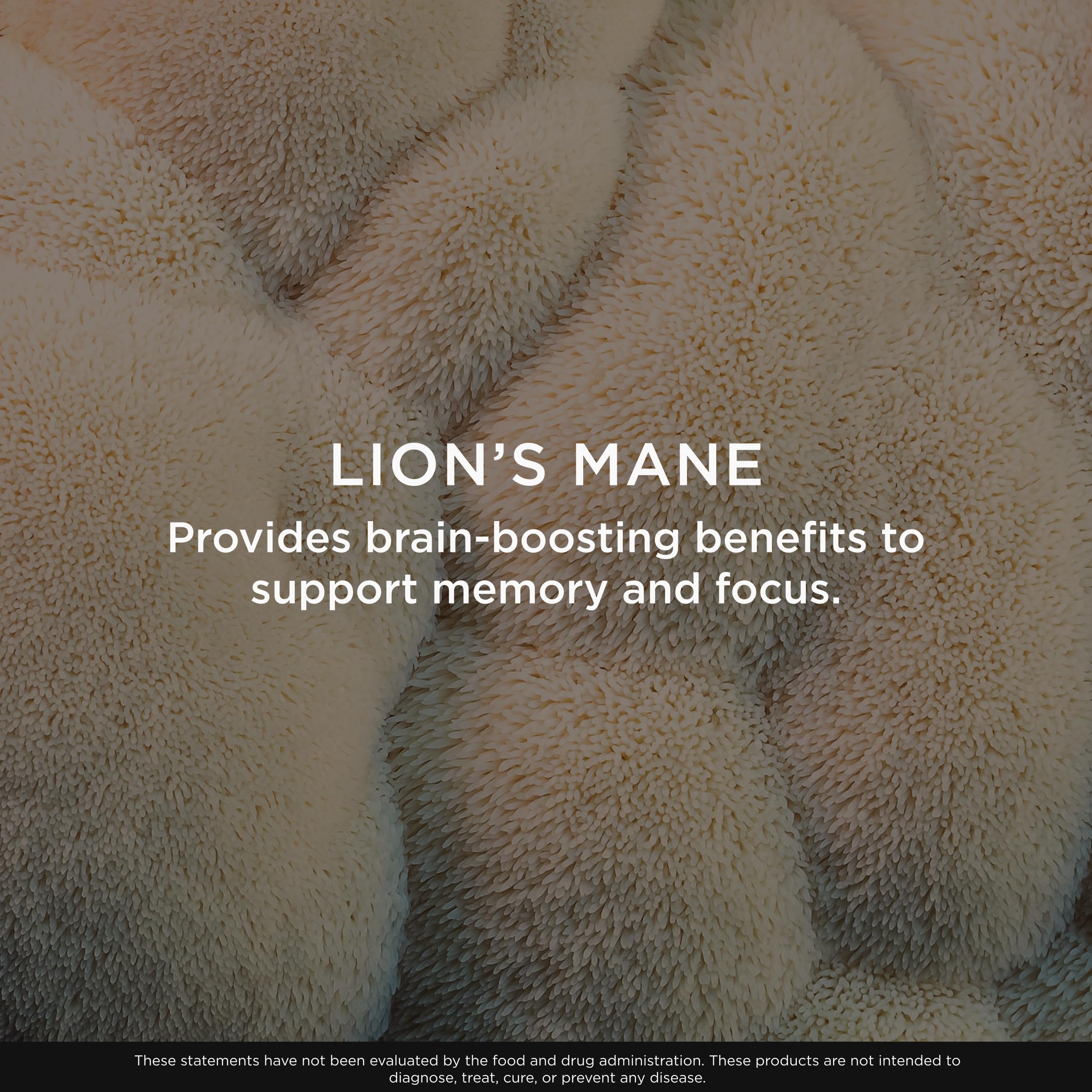 Genius Lion's Mane by The Genius Brand – Brain Health

