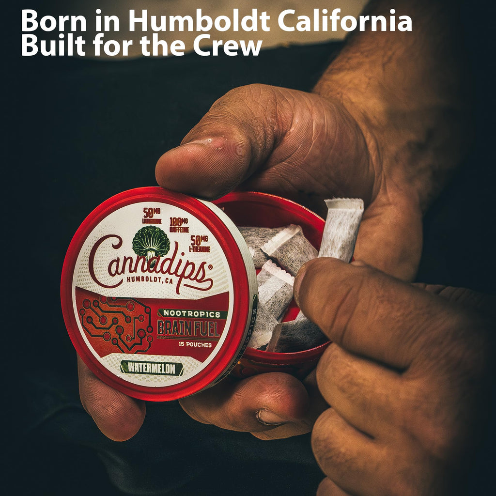 Cannadips Brain Fuel Nootropic Caffeine Pouches | Focus

