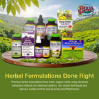 Herbs Etc. ChlorOxygen Chlorophyll Drops Alcohol-Free

