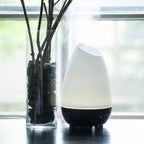 HealthSmart Essential Oil Diffuser | Cool Mist Humidifier

