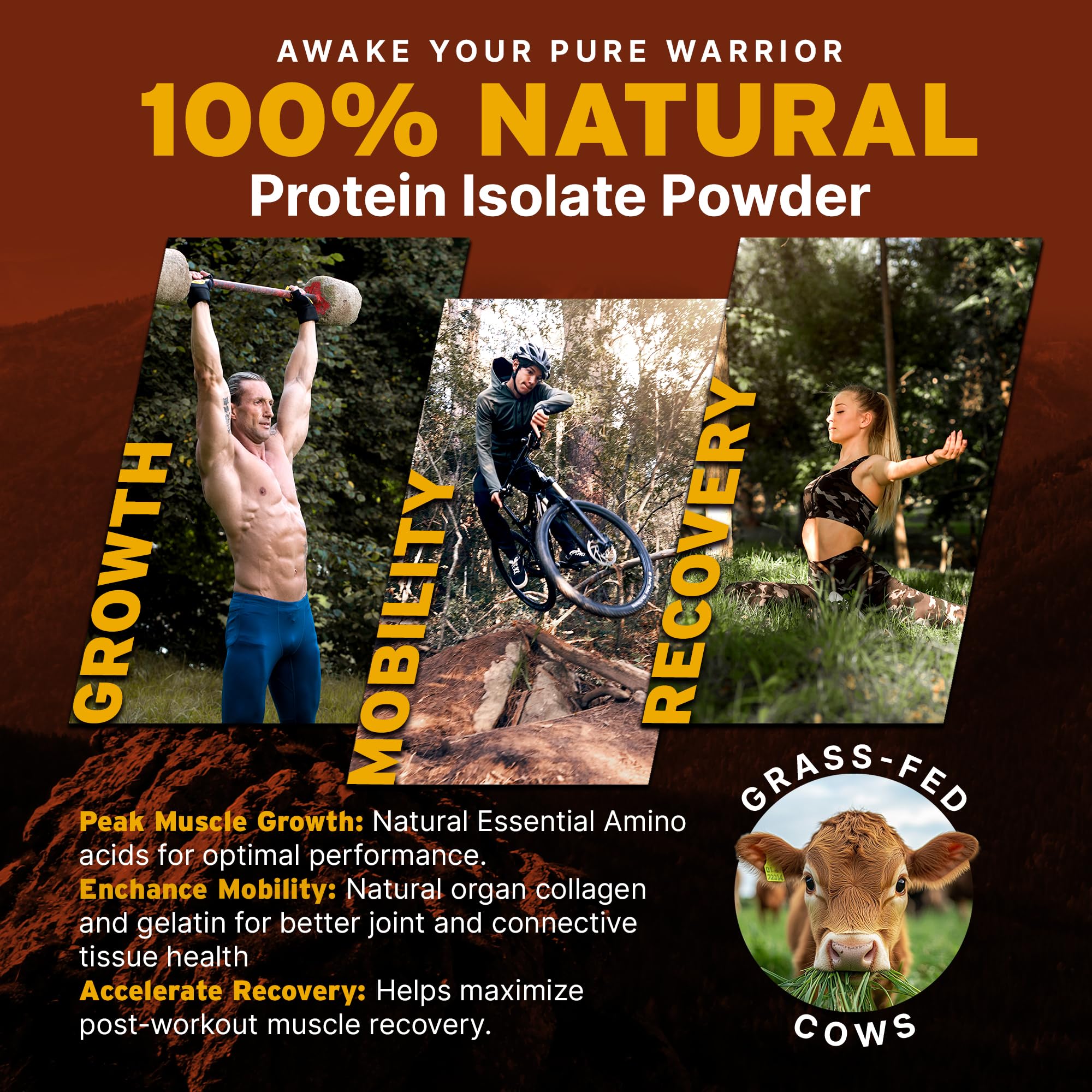 Beef Protein Powder - Paleo Pro Grass-Fed | Gluten Free

