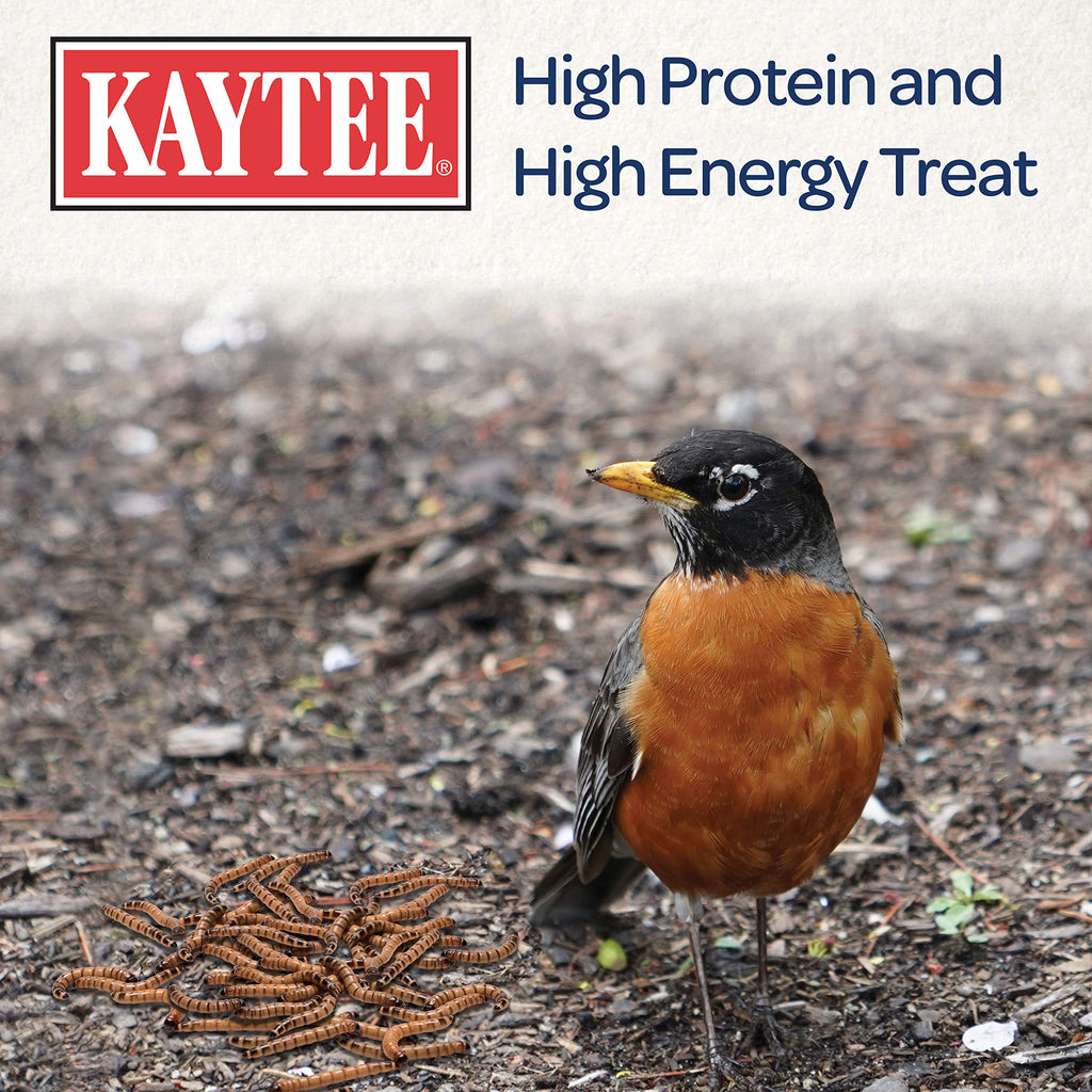 Kaytee Wild Bird Mealworms for Backyard Birds


