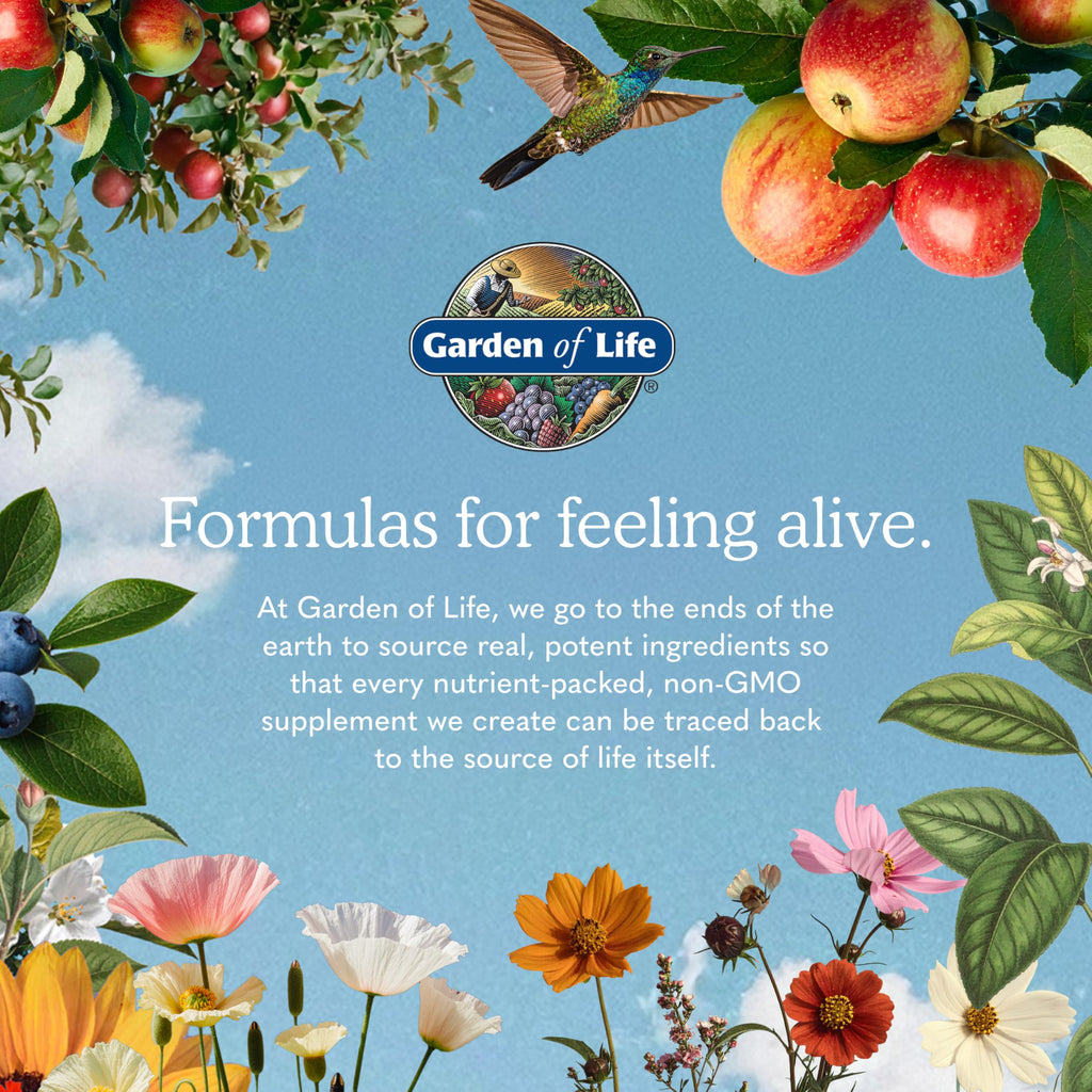 Garden of Life Vegan Protein Powder with Probiotics

