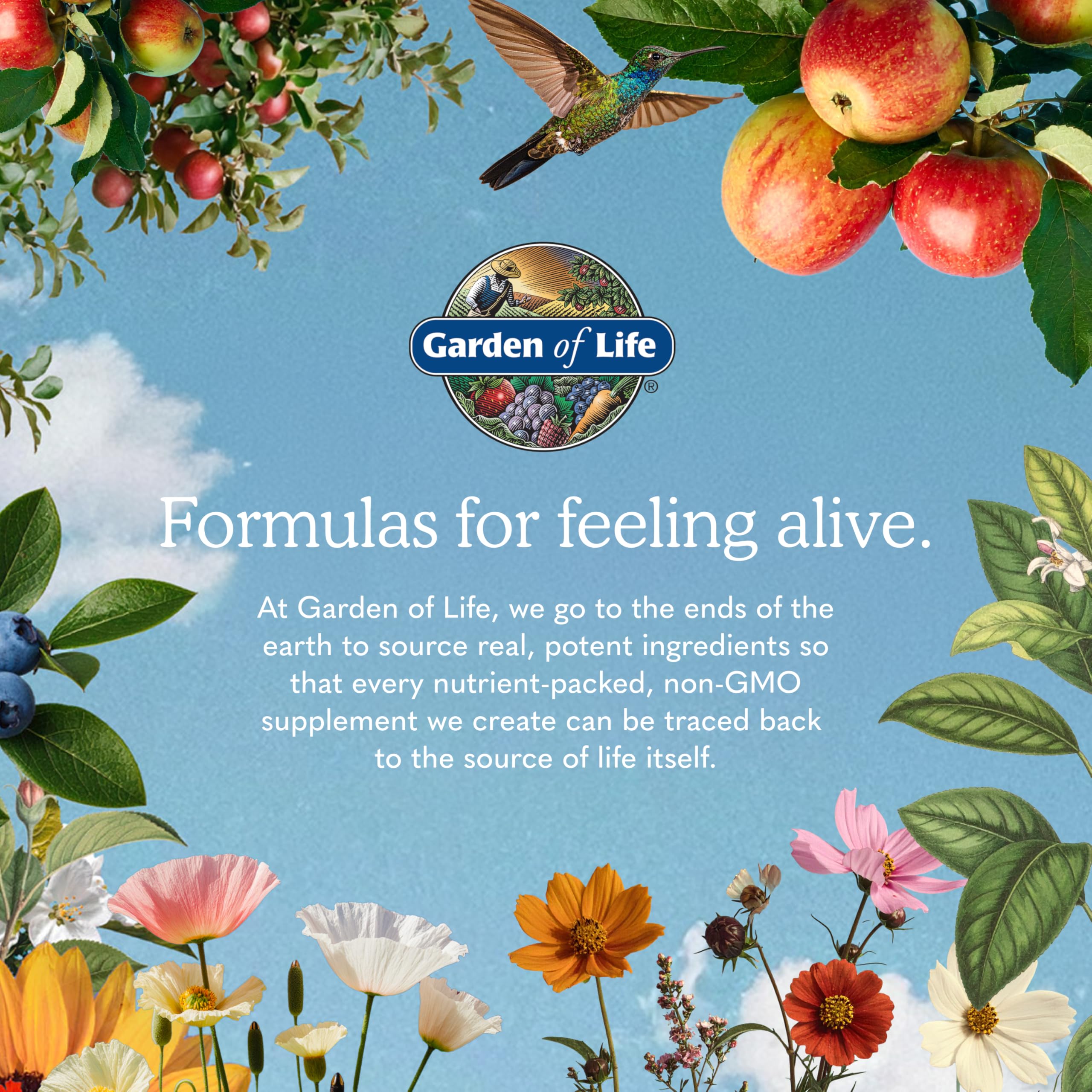 Garden of Life Vegan Protein Powder with Probiotics

