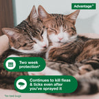 Advantage Spot & Crevice Spray Indoor Flea & Tick

