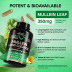 Mullein Lung Detox Lung Support Supplement


