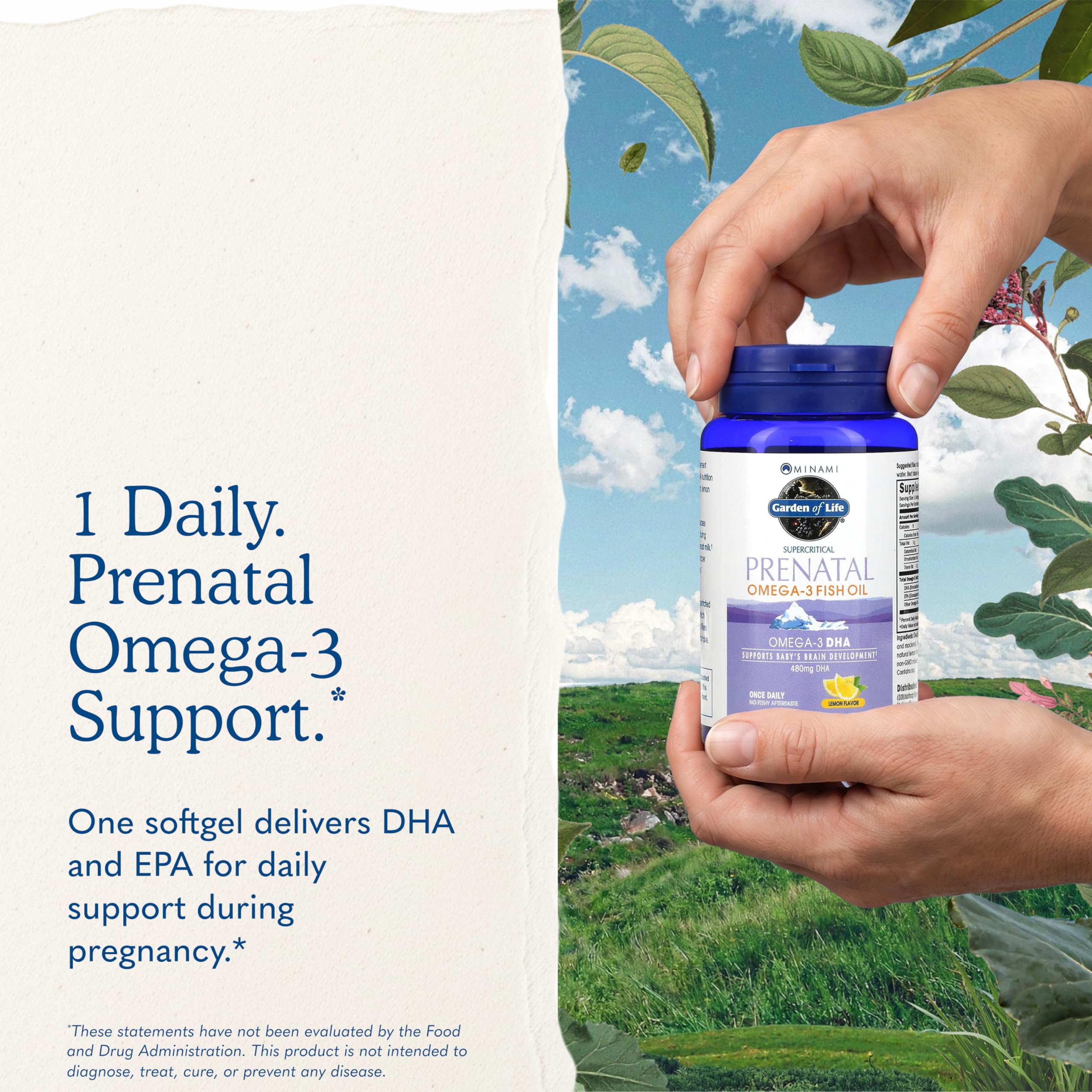Garden of Life Minami Prenatal Omega-3 DHA Fish Oil – Lemon

