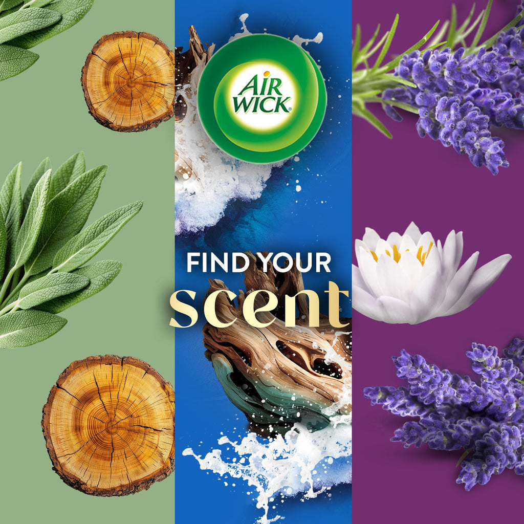 Air Wick Plug-In Scented Oil Refill with Natural Essential Oils

