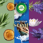 Air Wick Plug-In Scented Oil Refill with Natural Essential Oils

