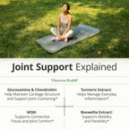 Glucosamine Chondroitin MSM Joint Support | Daily Comfort

