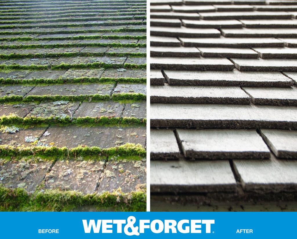 Wet & Forget Moss Mold Mildew Algae Stain Remover Concentrate

