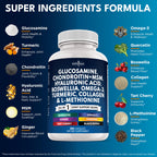 New Age Glucosamine Chondroitin MSM Curcumin Omega-3

