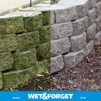 Wet & Forget Moss Mold Mildew Algae Stain Remover Concentrate

