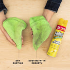 Endust Multi-Surface Dusting & Cleaning Spray

