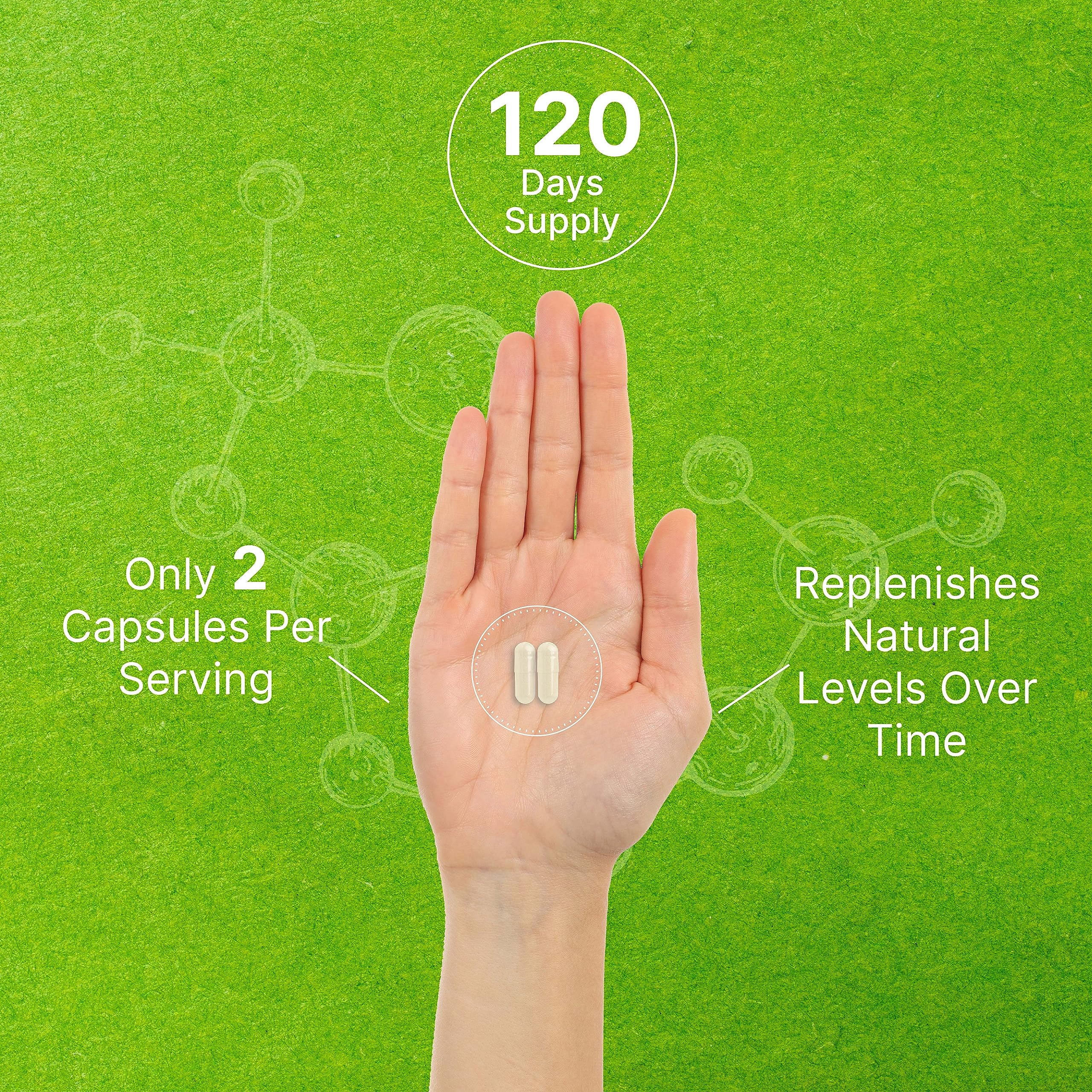 Phosphatidylserine Supplement - Sunflower Lecithin

