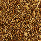 Kaytee Wild Bird Mealworms for Backyard Birds

